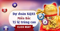 soi- cau- mien- bac- ngay- 11-11-2020