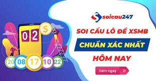 Soi- cau- lo- đe- 247- ngay- 19-12-2020