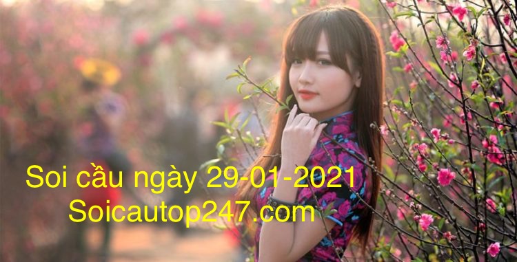 Soi- cau -ngay -29-01-2021