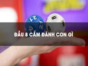 Dau-8-cam-danh-lo-gi