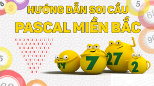 Huong-dan-soi-cau-pascal-mien-bac