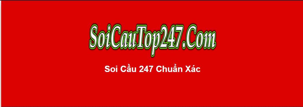 Thông tin sơ lược về Soicautop247